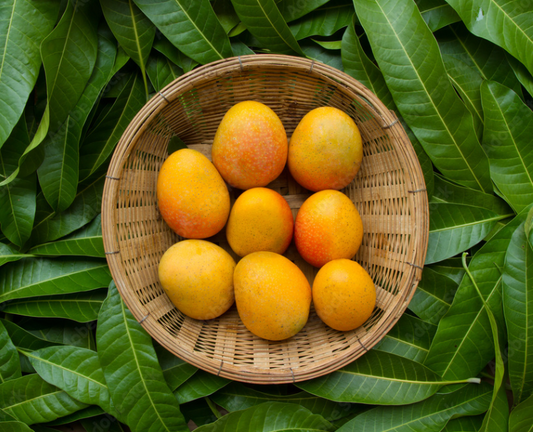 Banginapalli (Ulavapadu) Mangoes